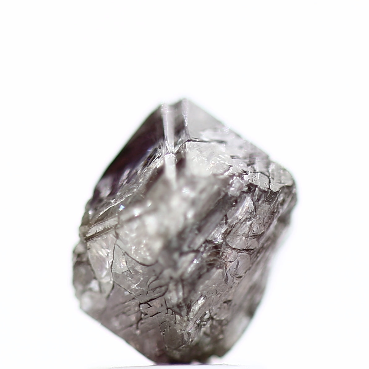 ClariOLED Transparent OLED Display price