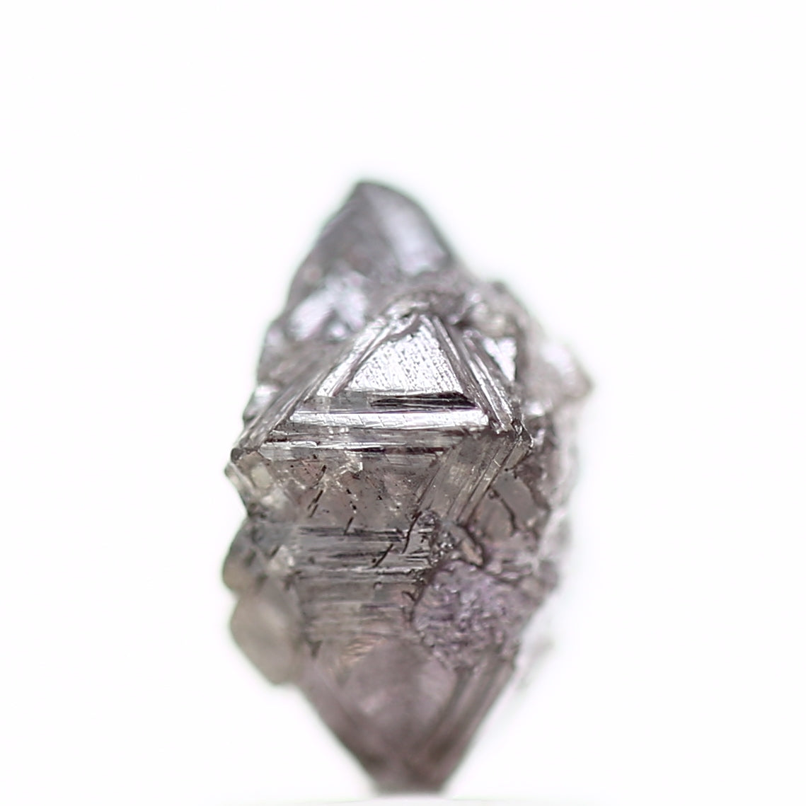 ClariOLED Transparent OLED Display price