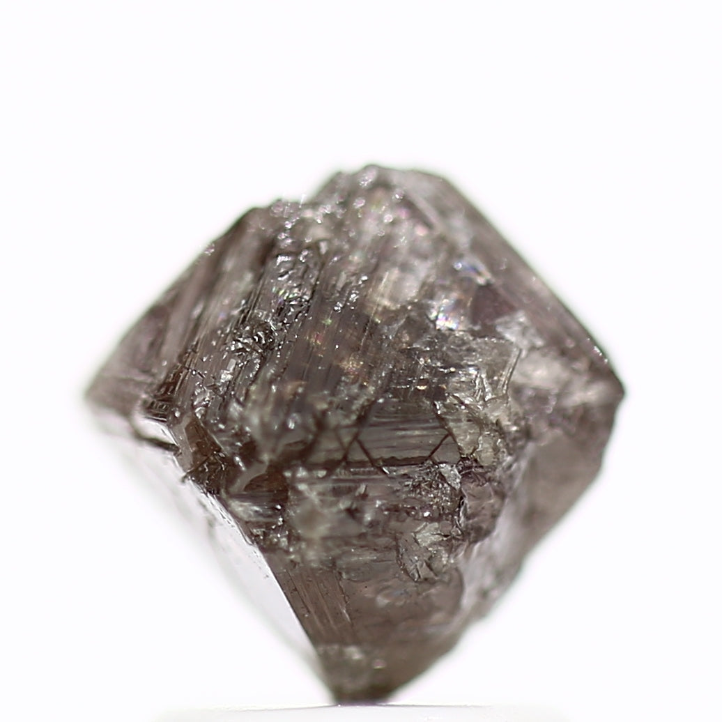 ClariOLED Transparent OLED Display price