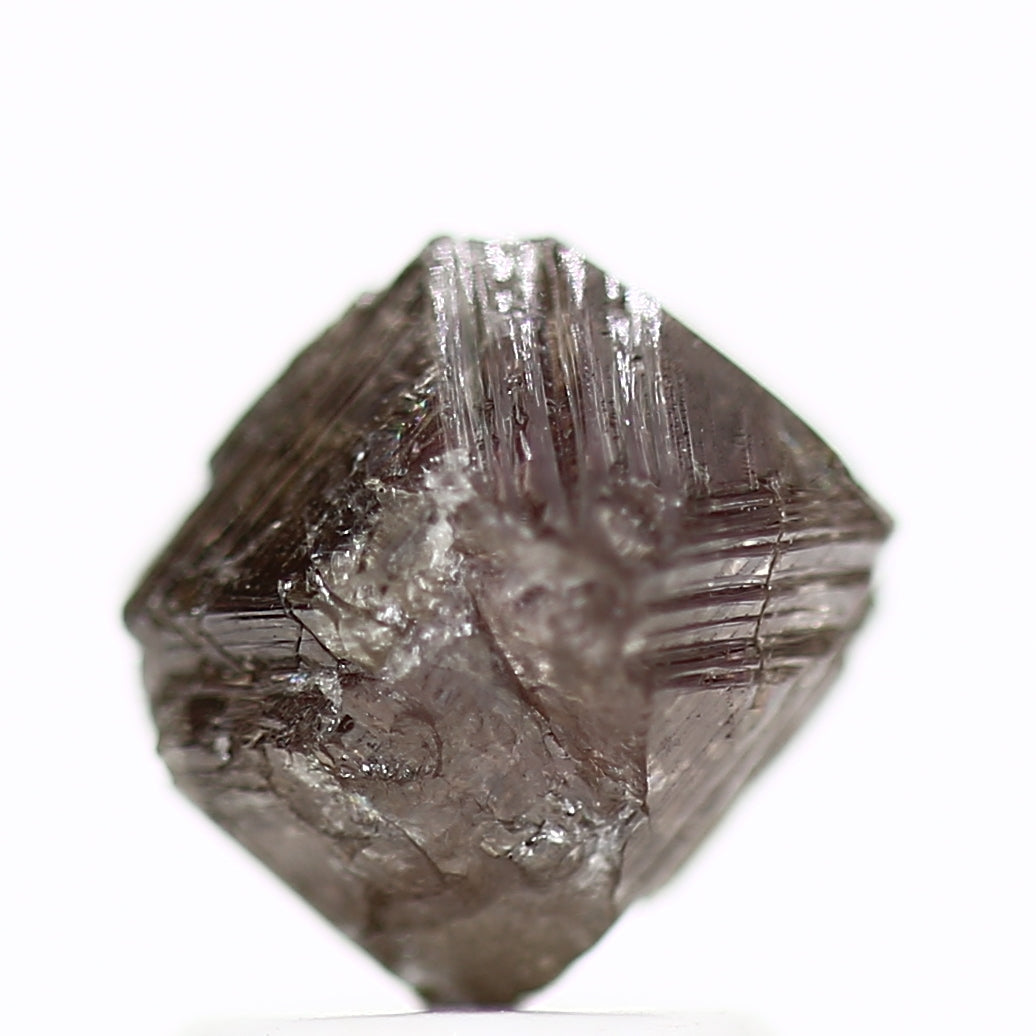 ClariOLED Transparent OLED Display price