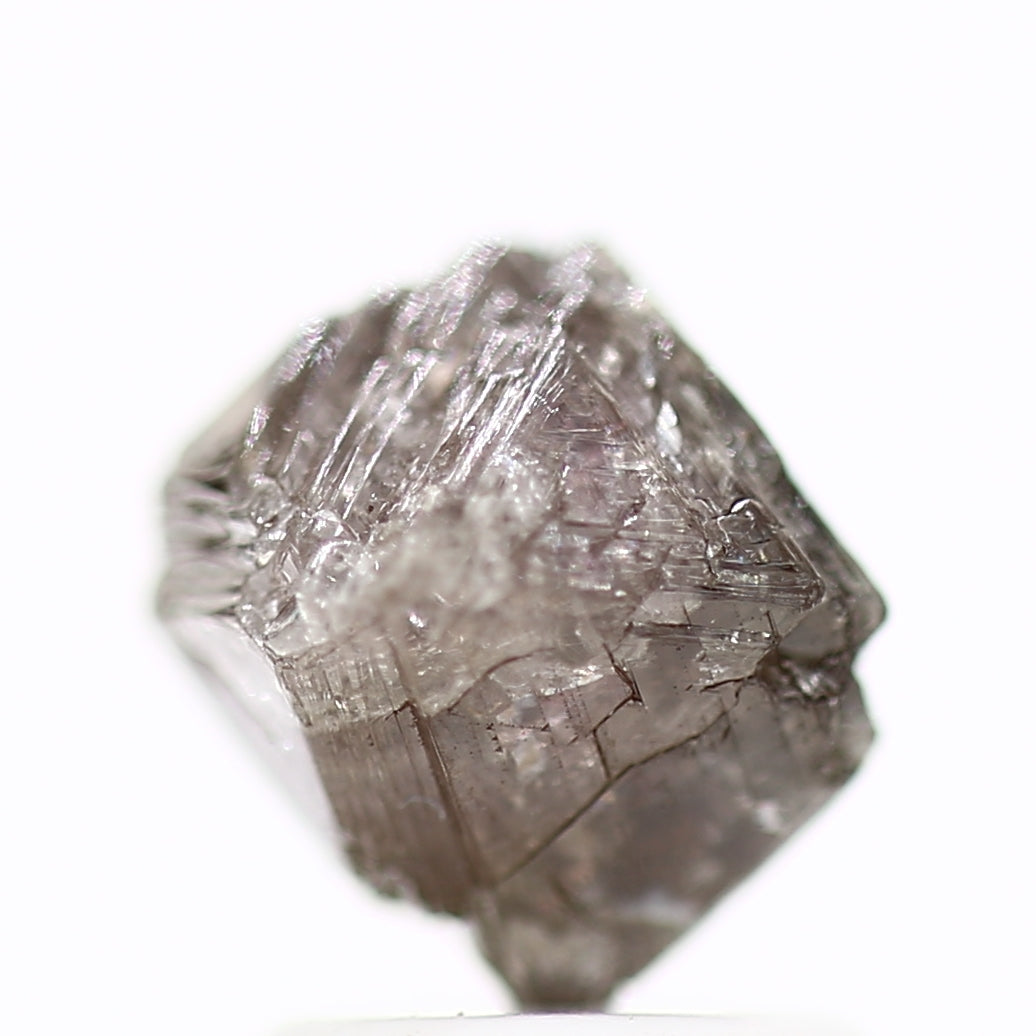 ClariOLED Transparent OLED Display price