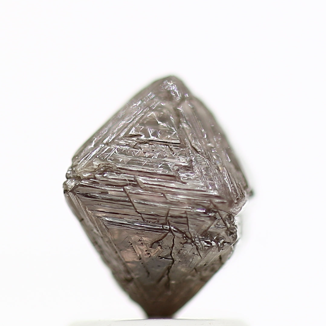 ClariOLED Transparent OLED Display price