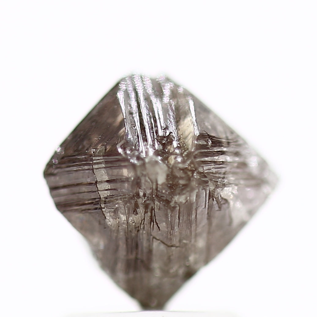 ClariOLED Transparent OLED Display price