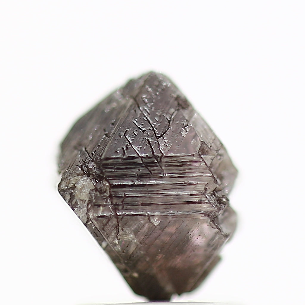 ClariOLED Transparent OLED Display price