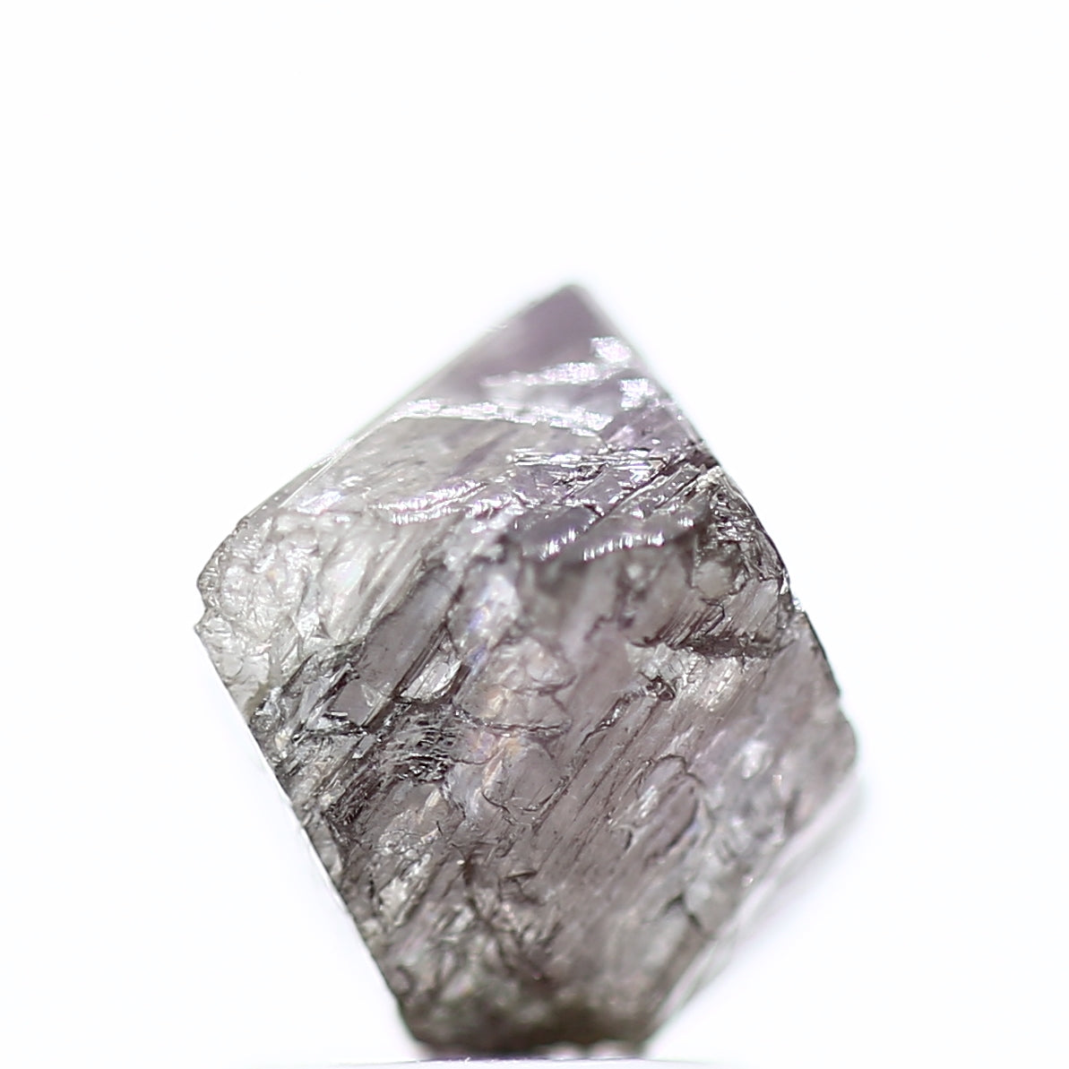 ClariOLED Transparent OLED Display price