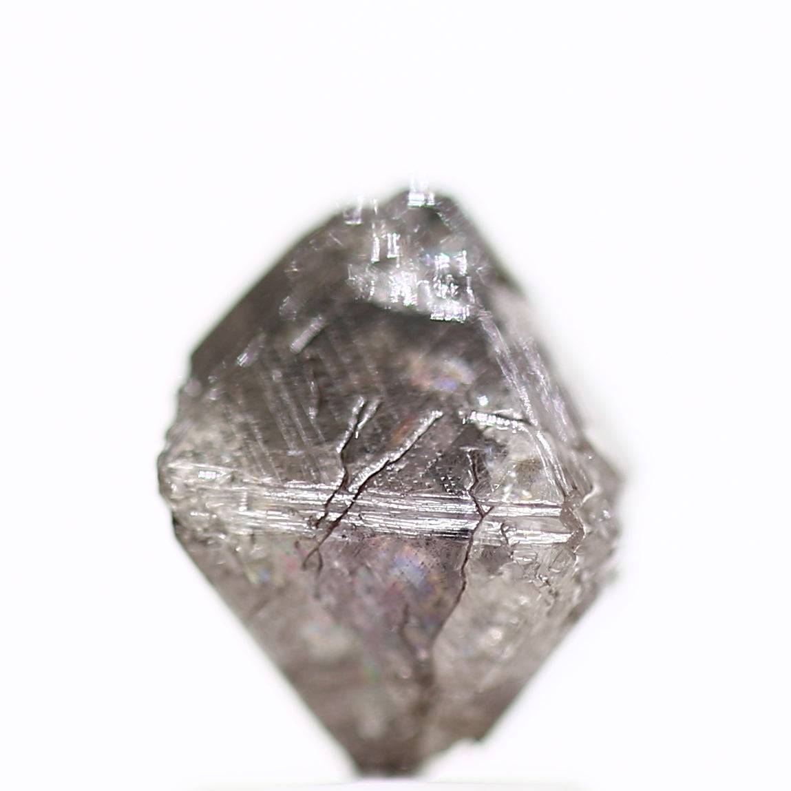 ClariOLED Transparent OLED Display price