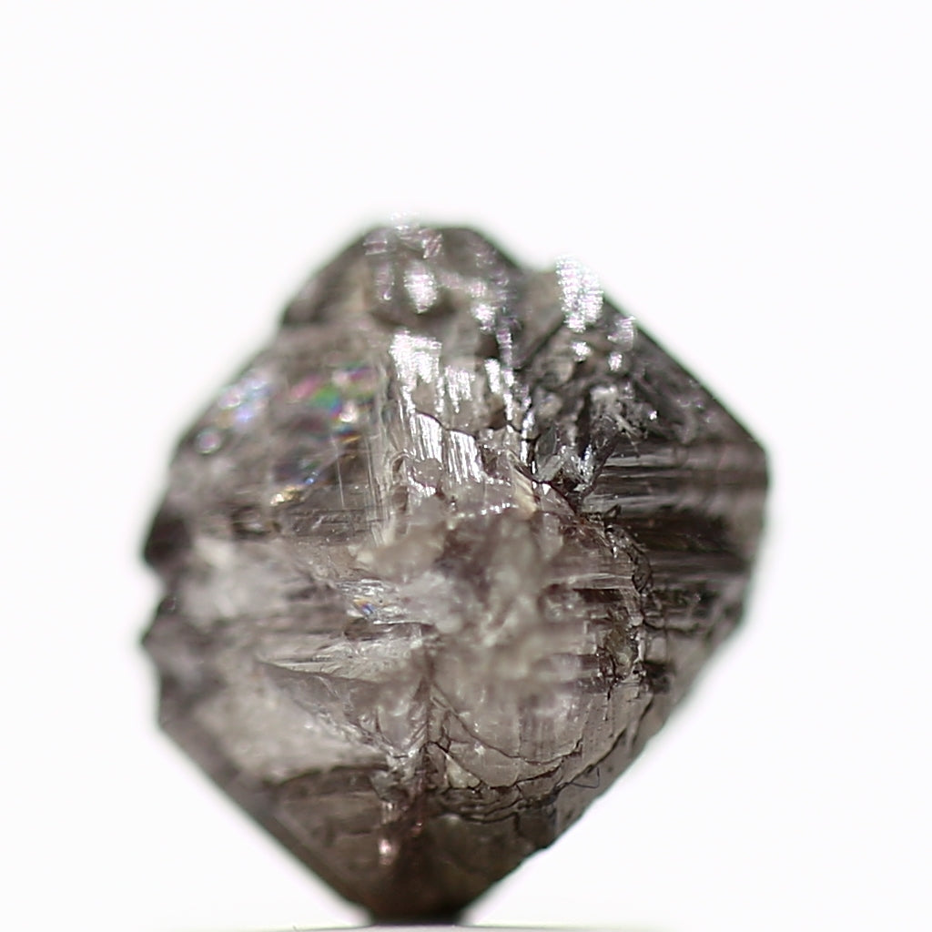 ClariOLED Transparent OLED Display price