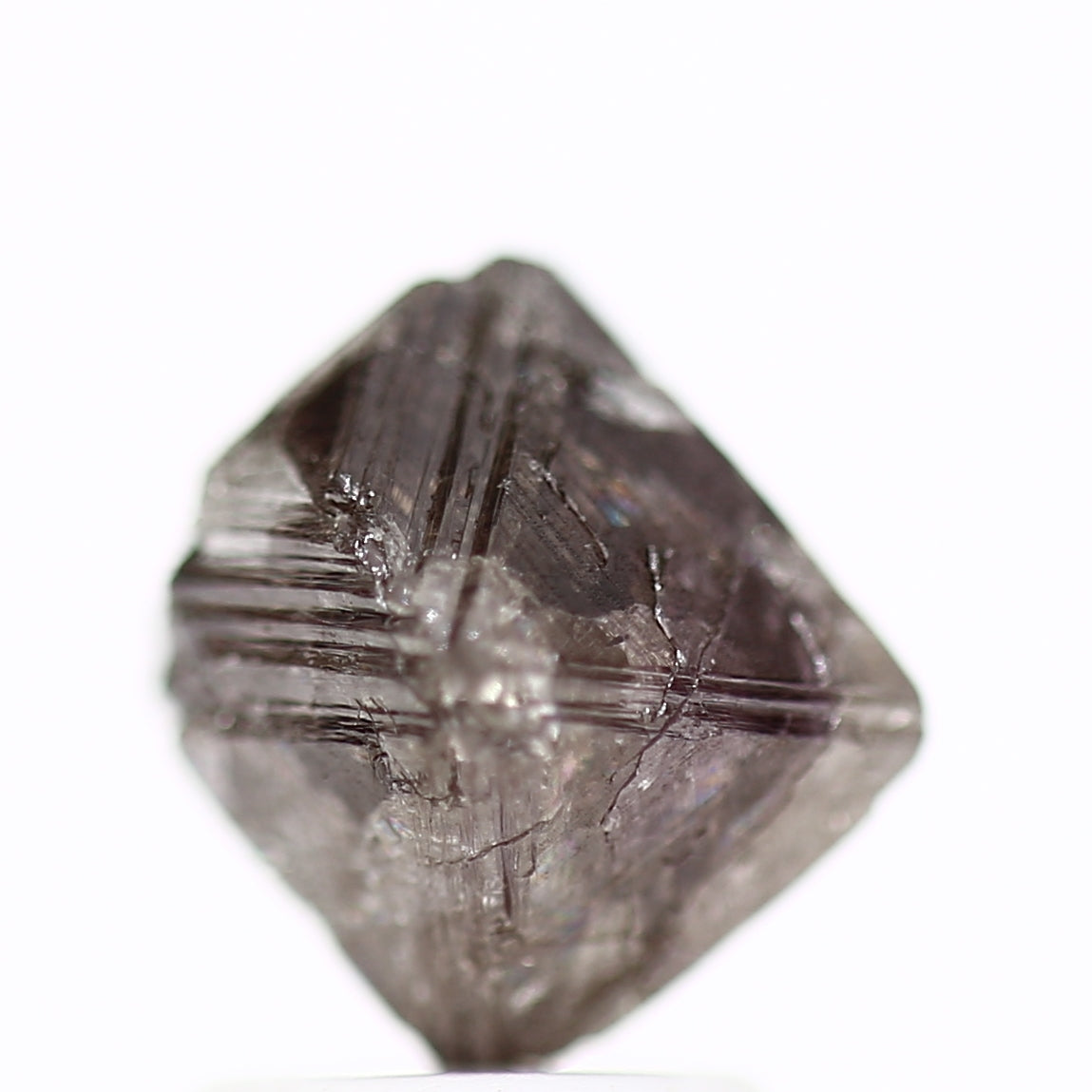 ClariOLED Transparent OLED Display price