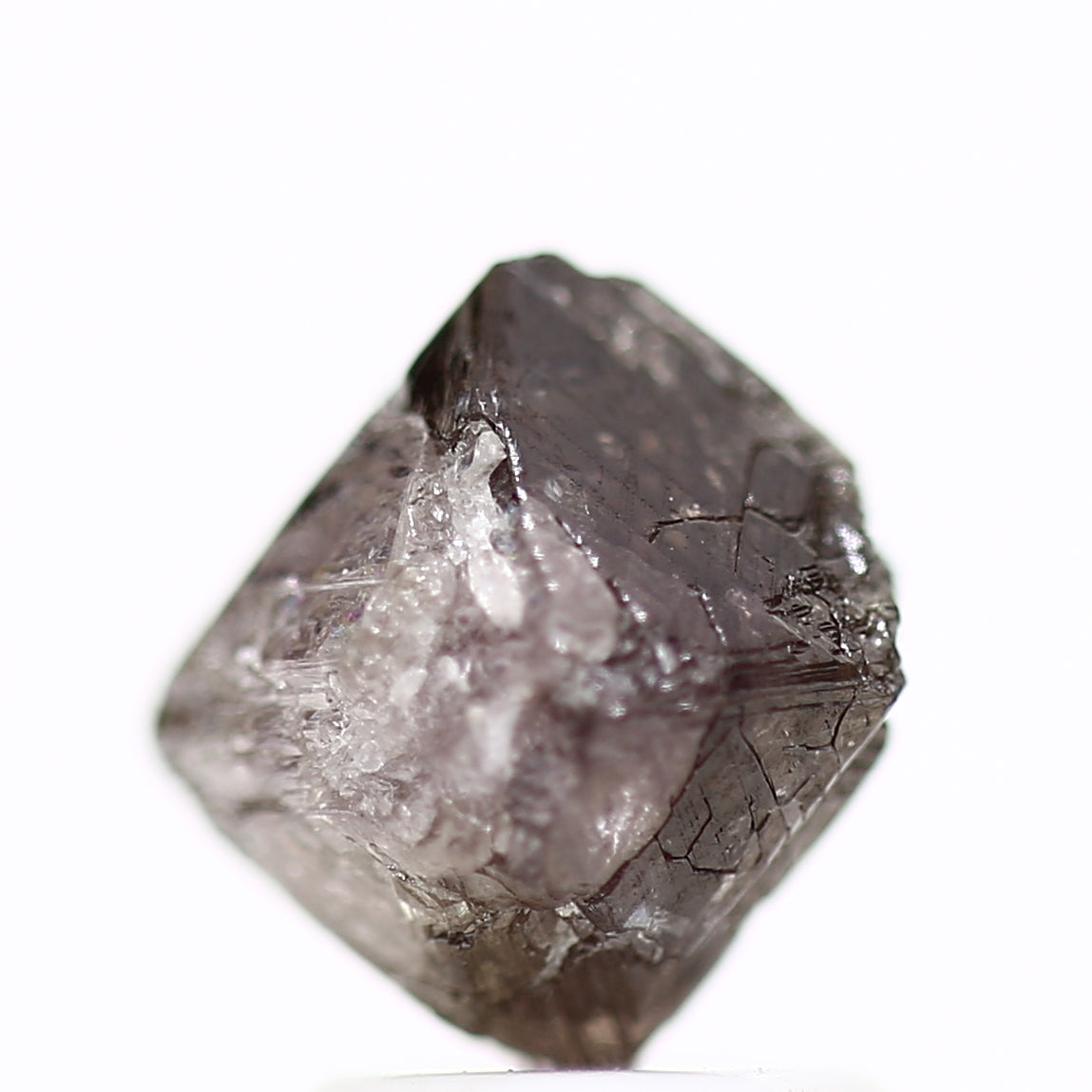 ClariOLED Transparent OLED Display price