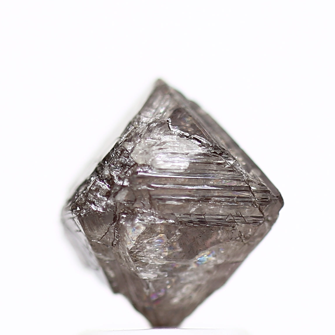 ClariOLED Transparent OLED Display price