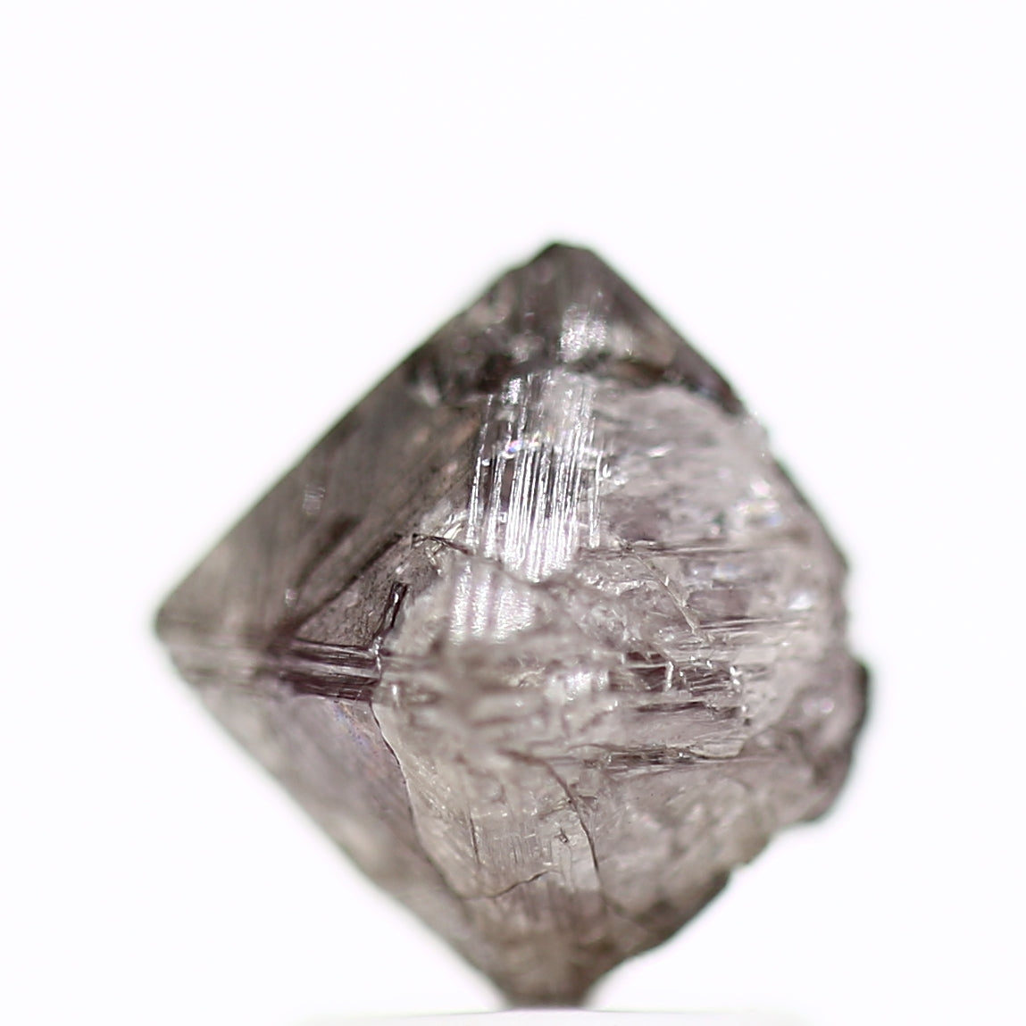 ClariOLED Transparent OLED Display price