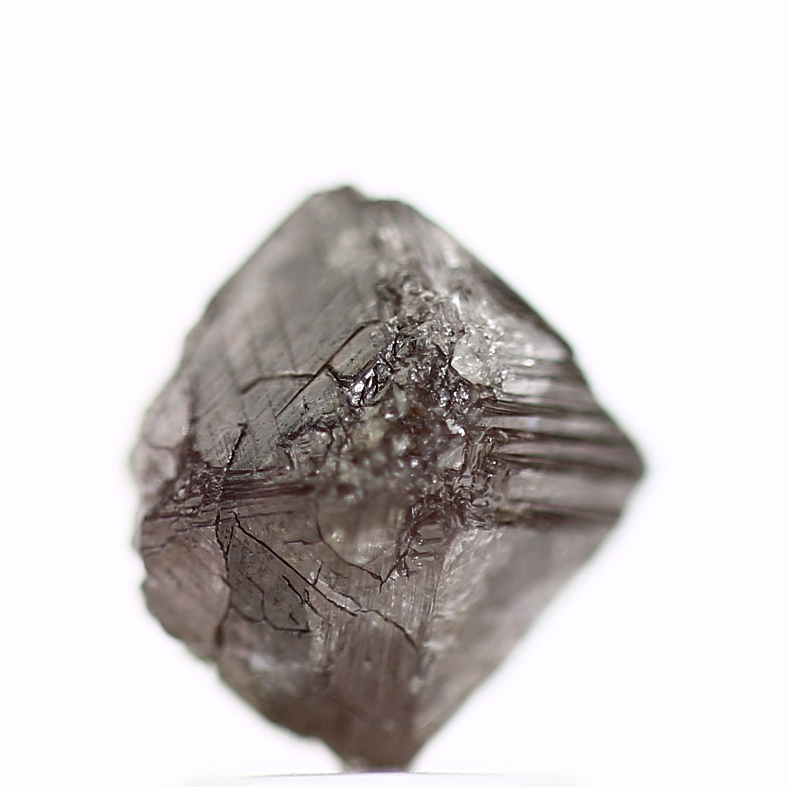 ClariOLED Transparent OLED Display price