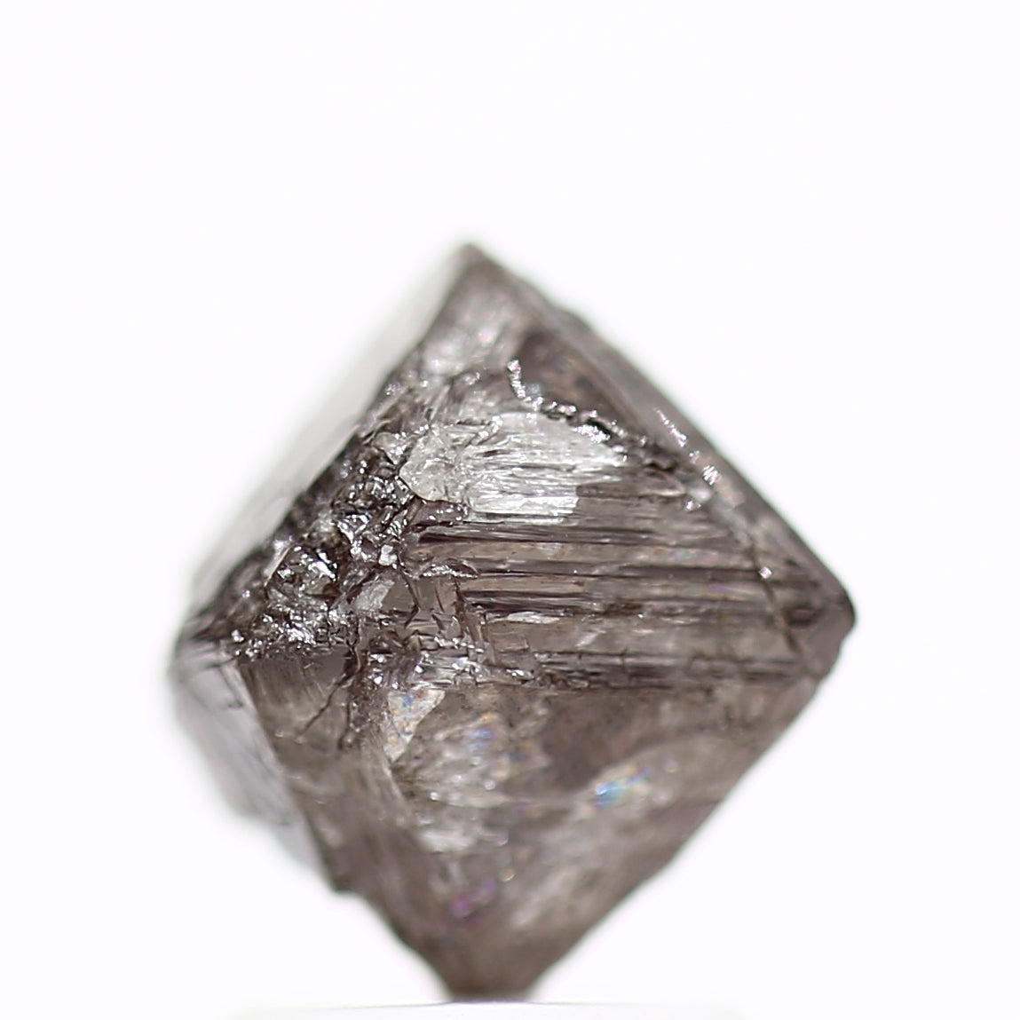 ClariOLED Transparent OLED Display price