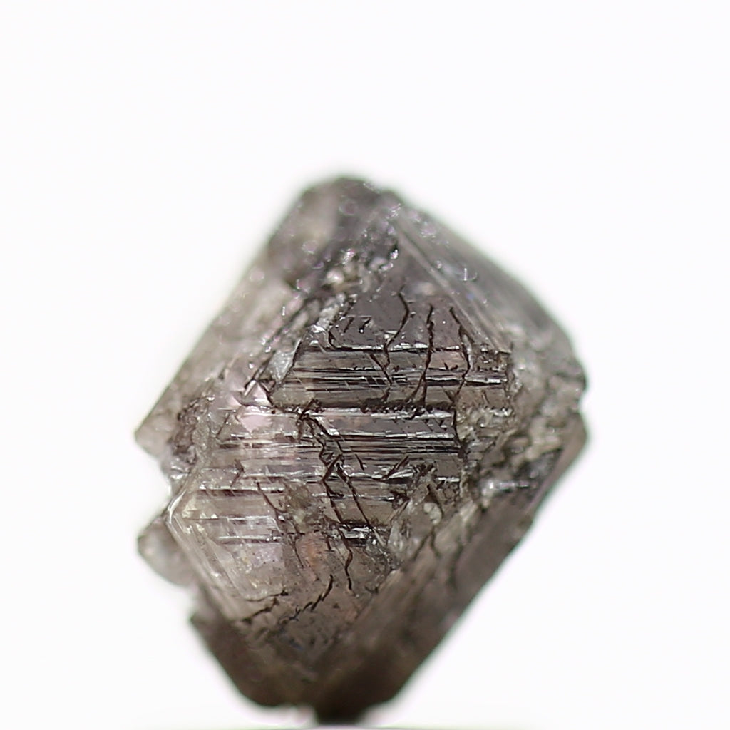 ClariOLED Transparent OLED Display price