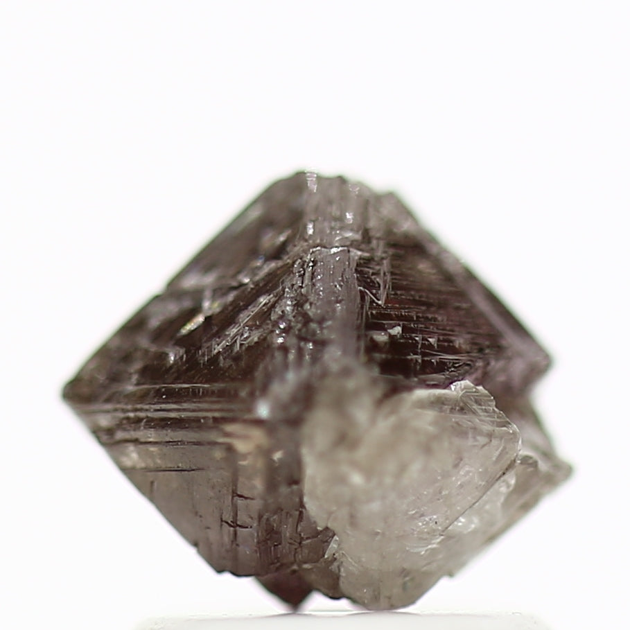 ClariOLED Transparent OLED Display price