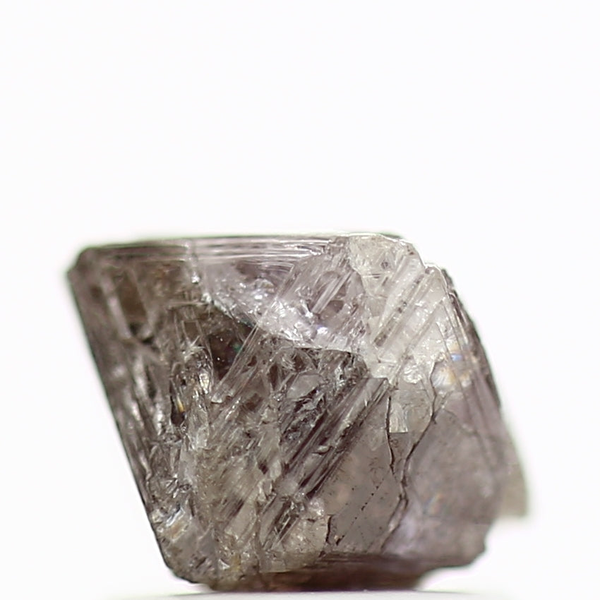 ClariOLED Transparent OLED Display price