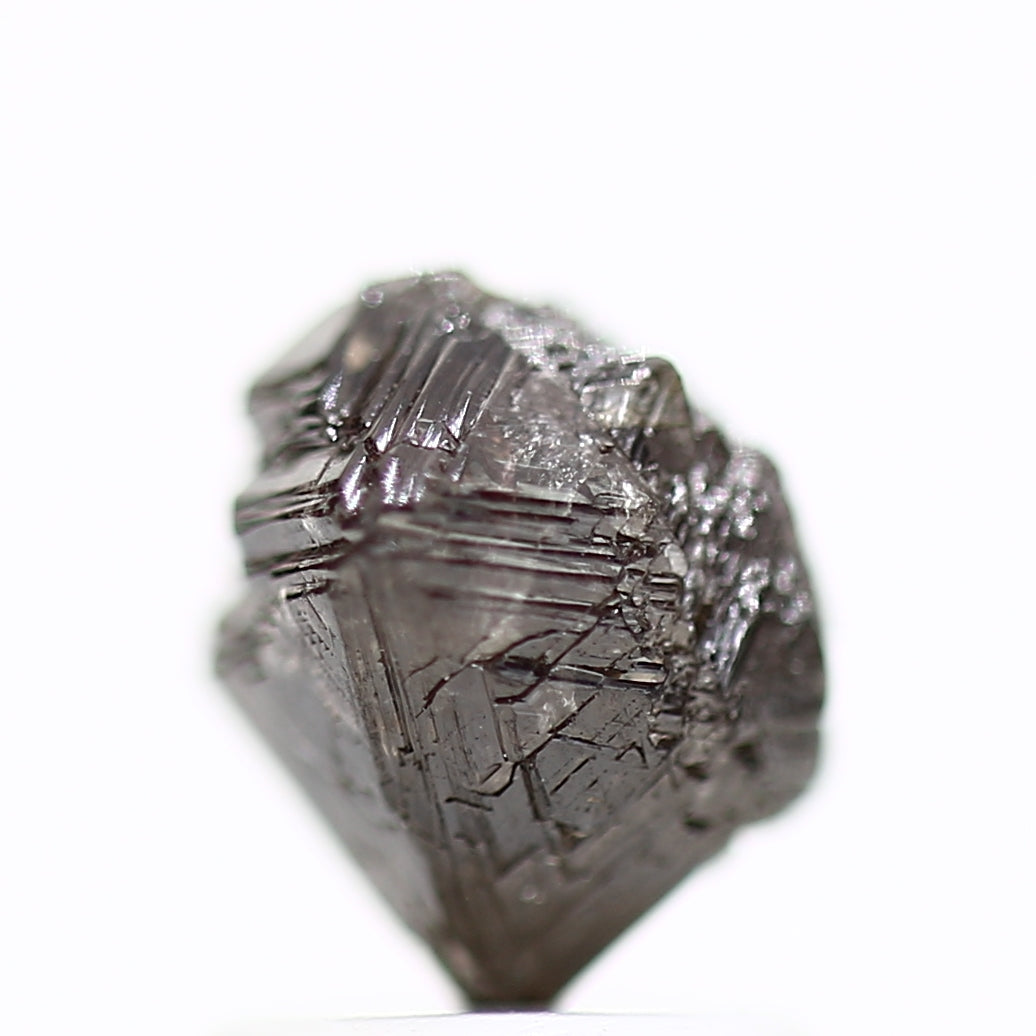 ClariOLED Transparent OLED Display price