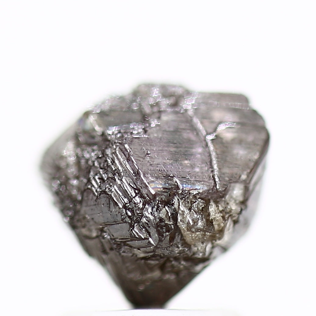 ClariOLED Transparent OLED Display price