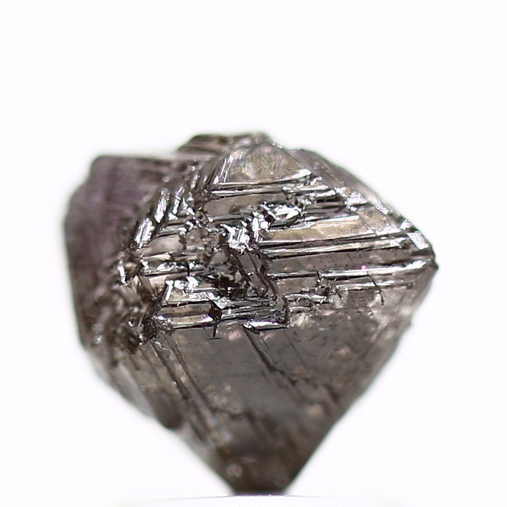 ClariOLED Transparent OLED Display price