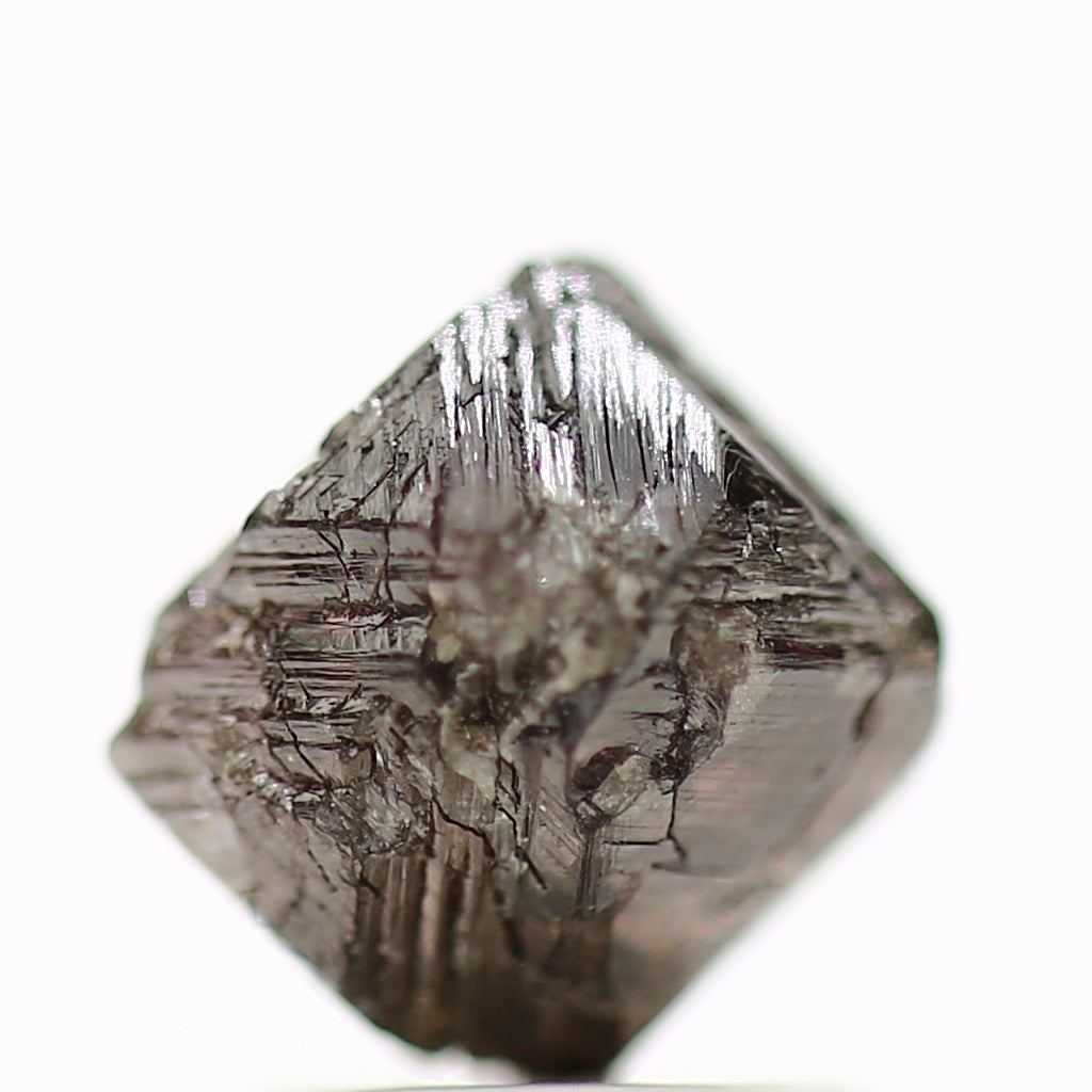 ClariOLED Transparent OLED Display price