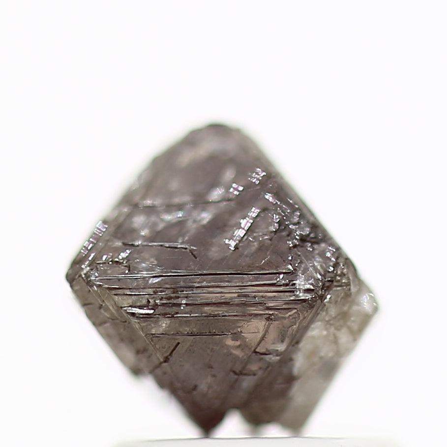 ClariOLED Transparent OLED Display price