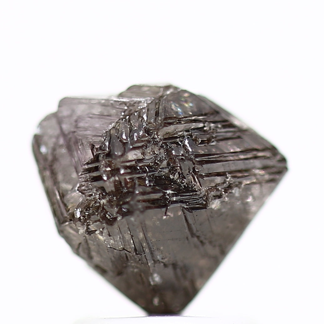 ClariOLED Transparent OLED Display price