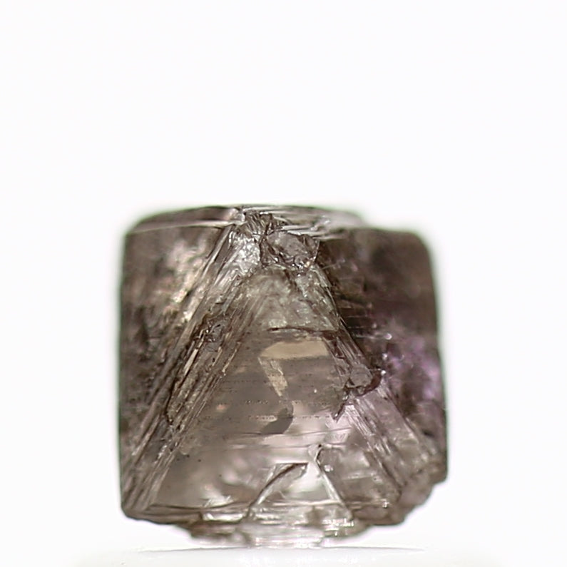 ClariOLED Transparent OLED Display price