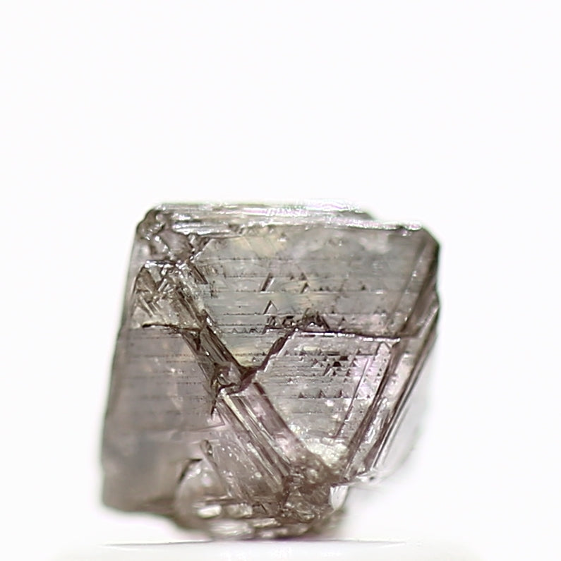 ClariOLED Transparent OLED Display price