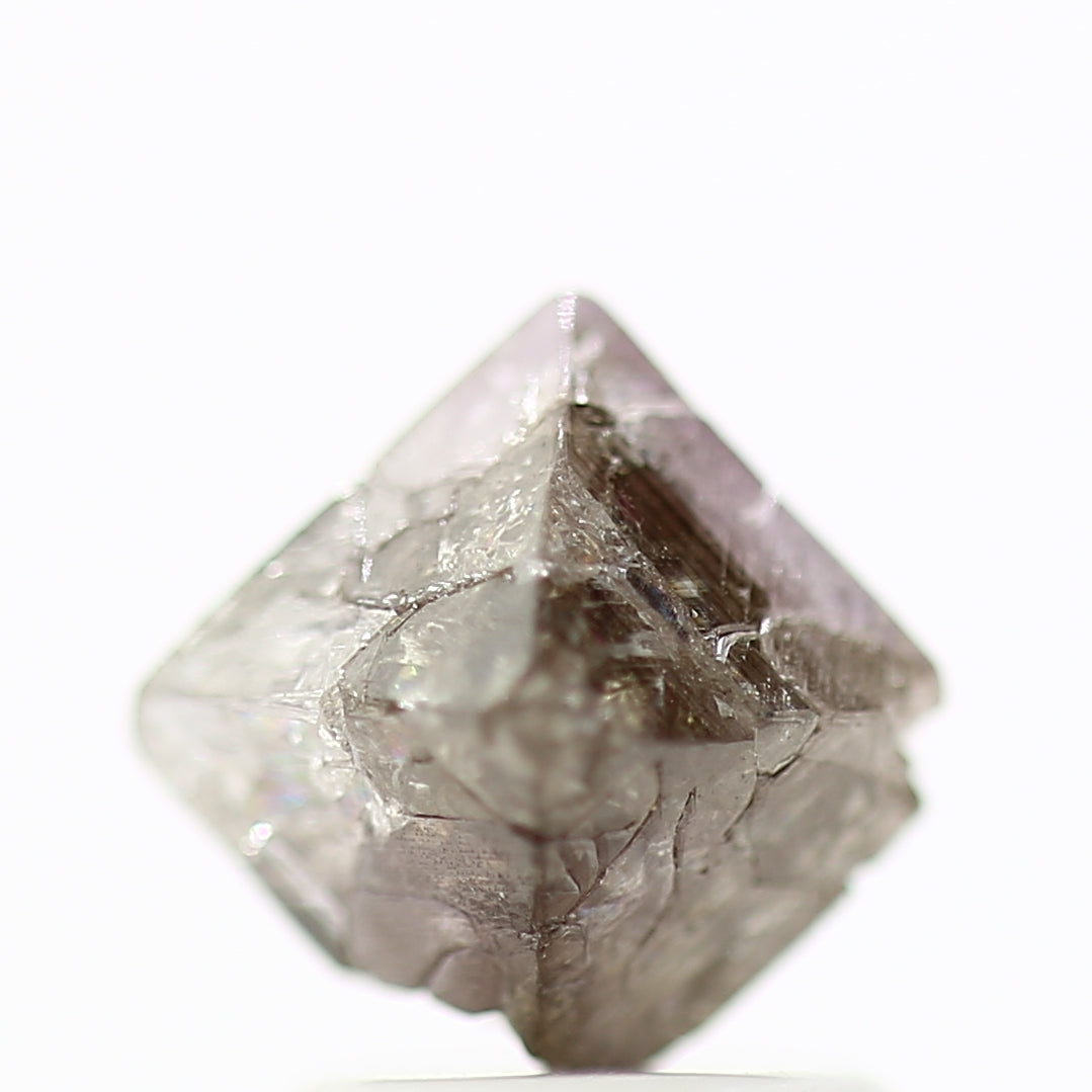 ClariOLED Transparent OLED Display price