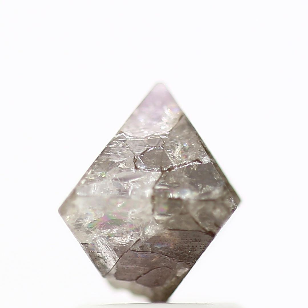 ClariOLED Transparent OLED Display price