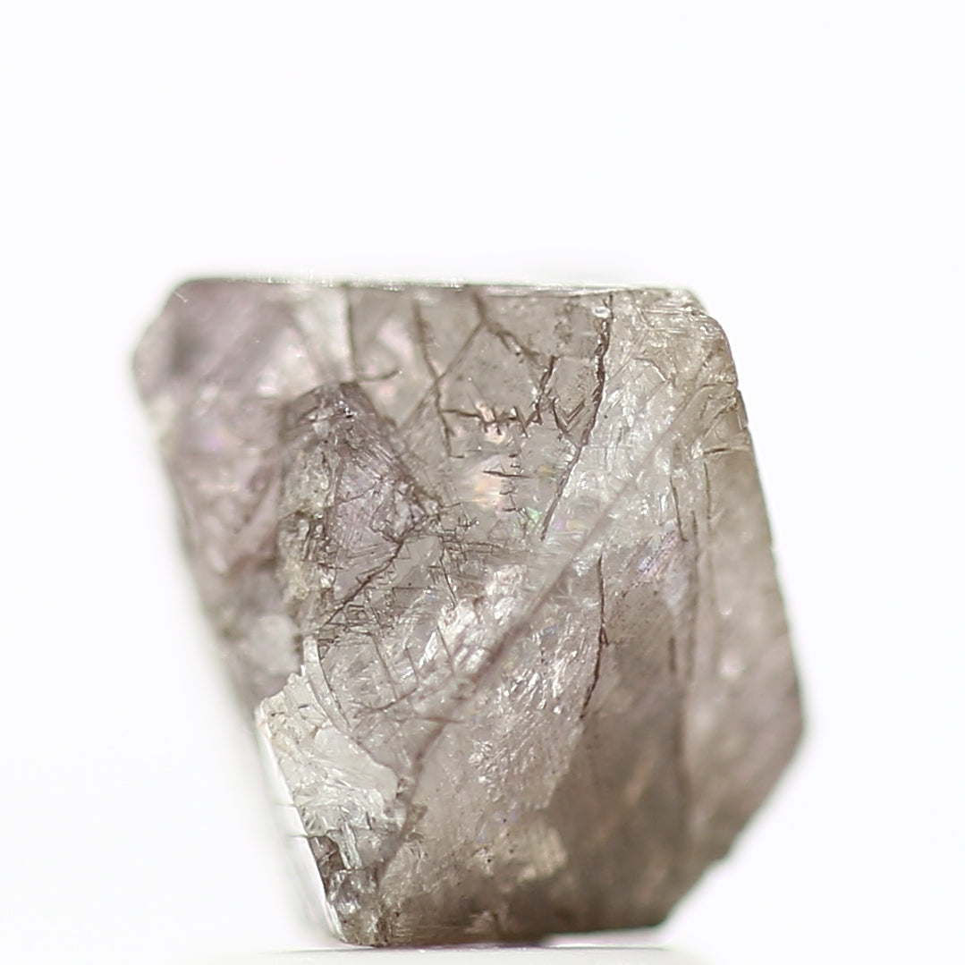 ClariOLED Transparent OLED Display price