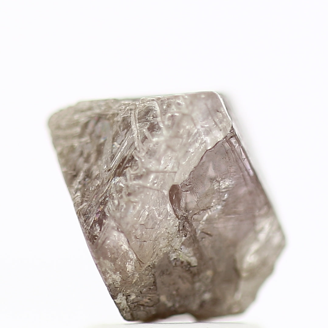 ClariOLED Transparent OLED Display price