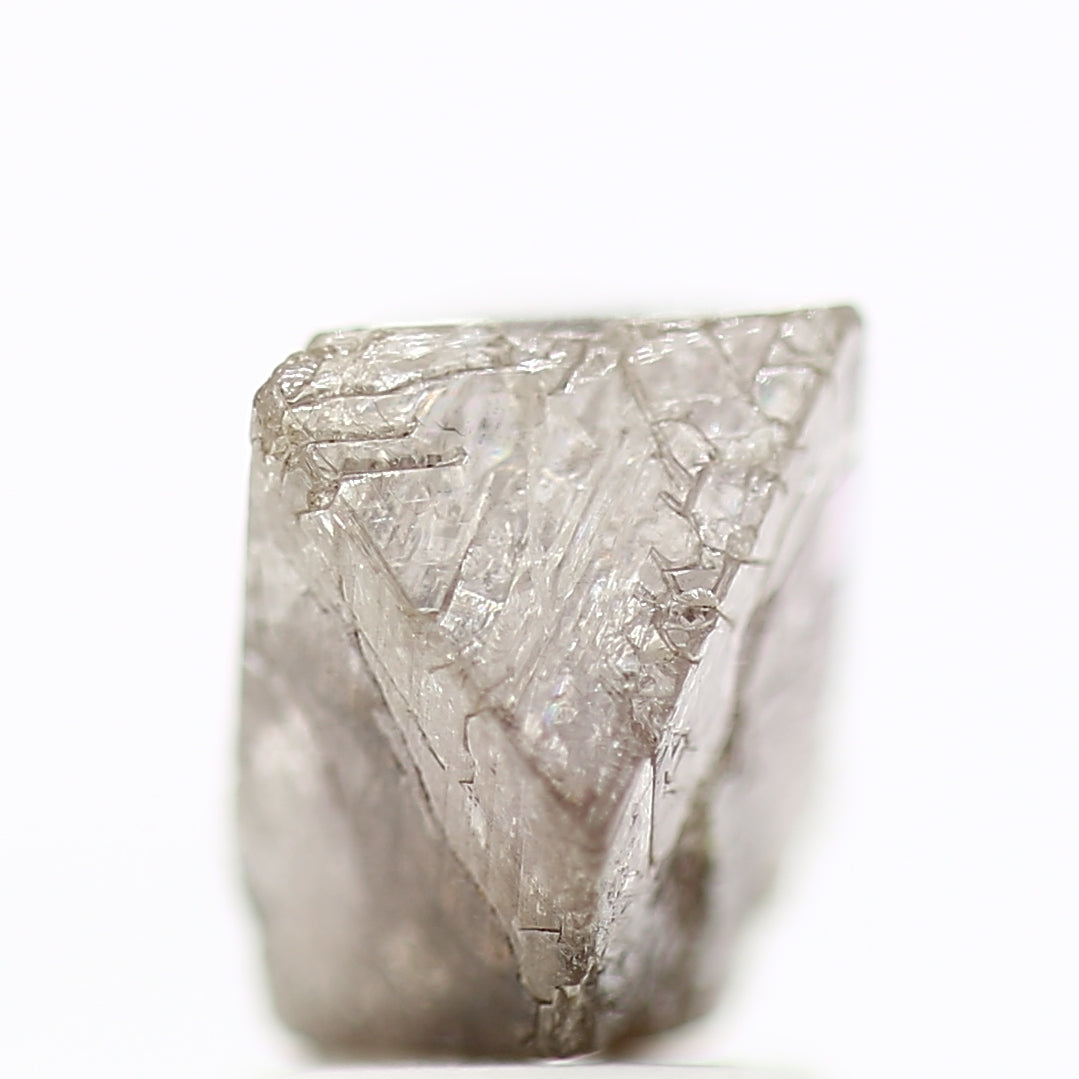 ClariOLED Transparent OLED Display price