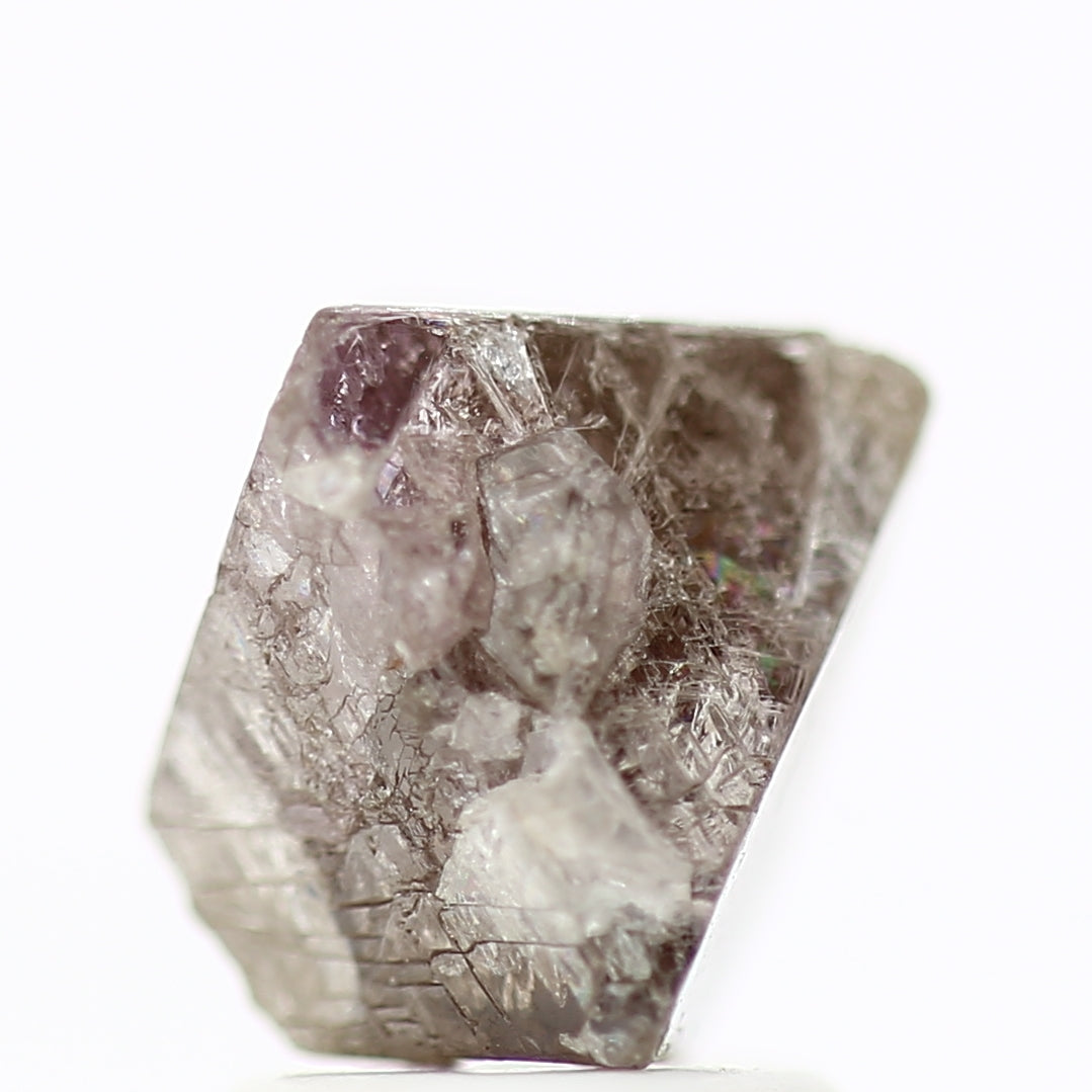 ClariOLED Transparent OLED Display price