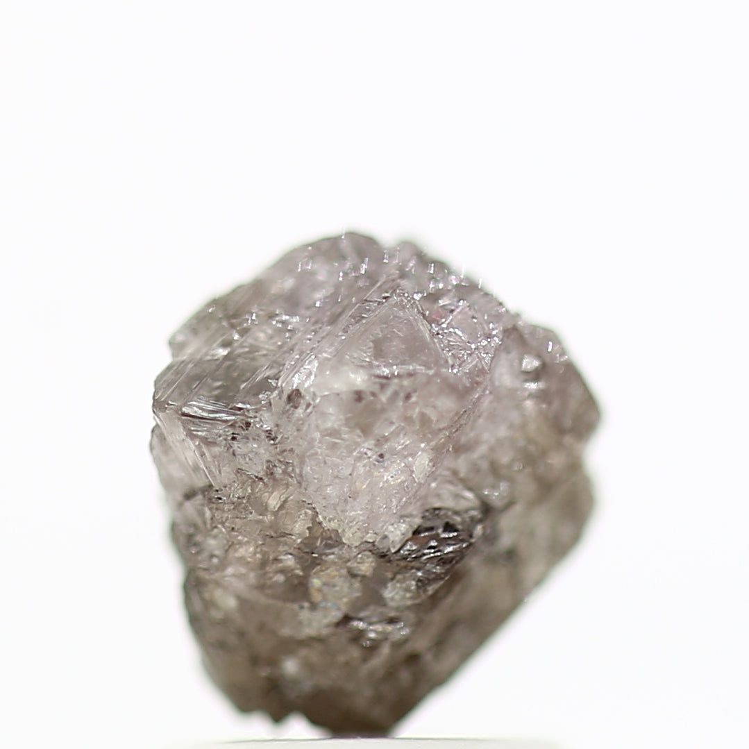 ClariOLED Transparent OLED Display price