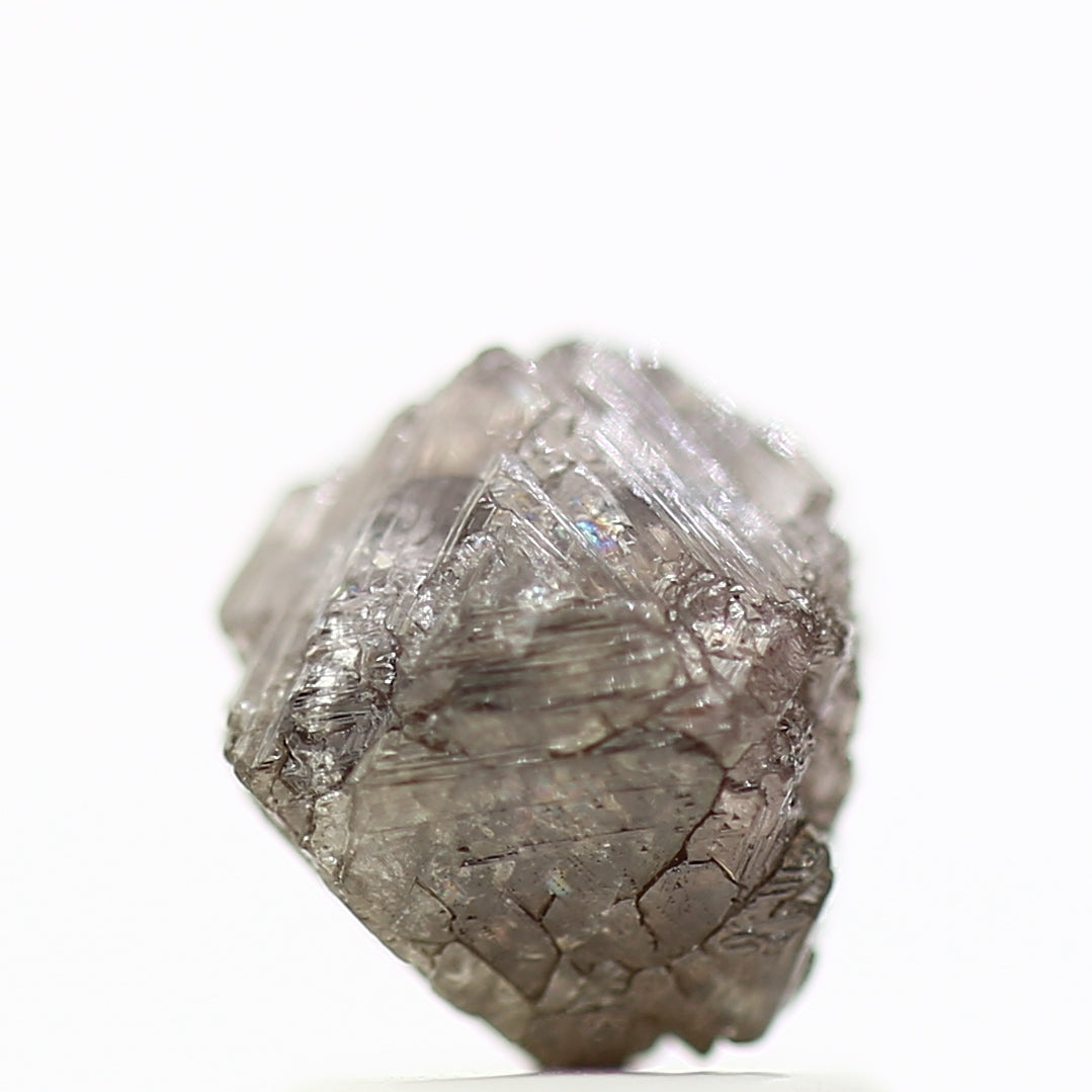 ClariOLED Transparent OLED Display price