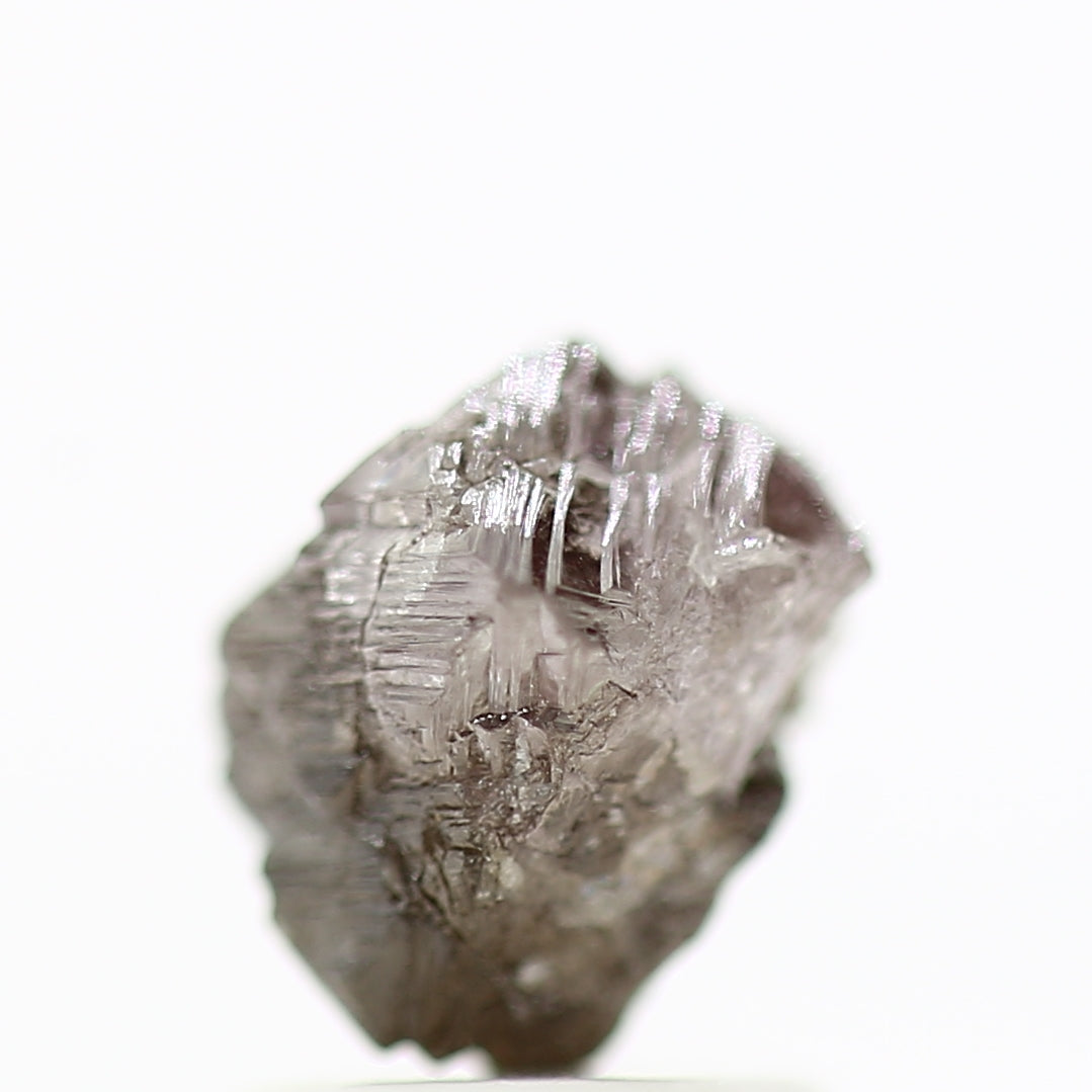 ClariOLED Transparent OLED Display price