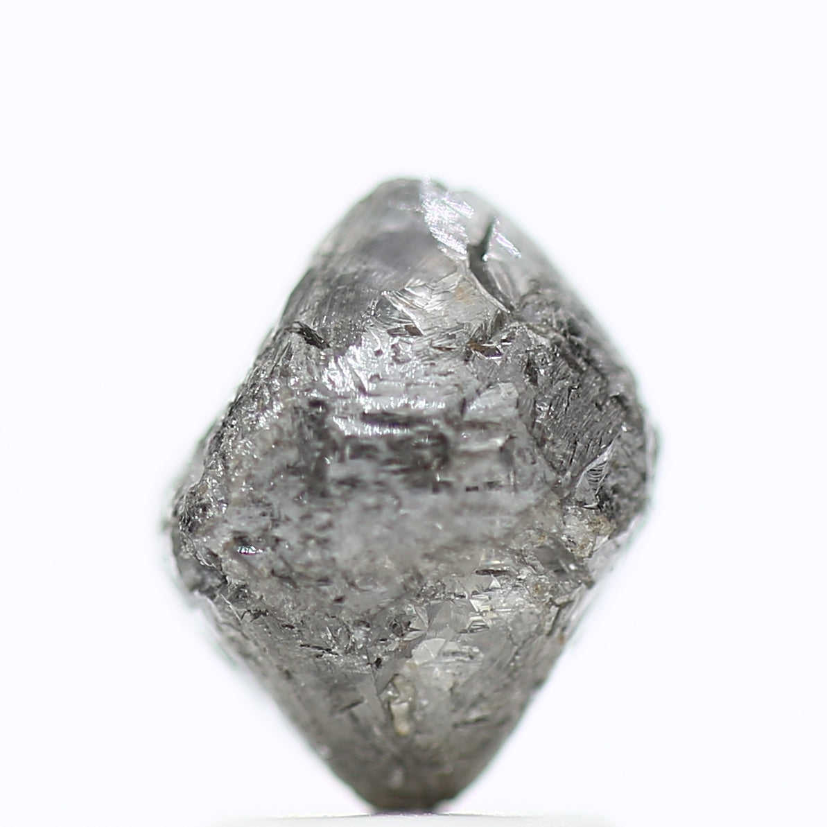 ClariOLED Transparent OLED Display price