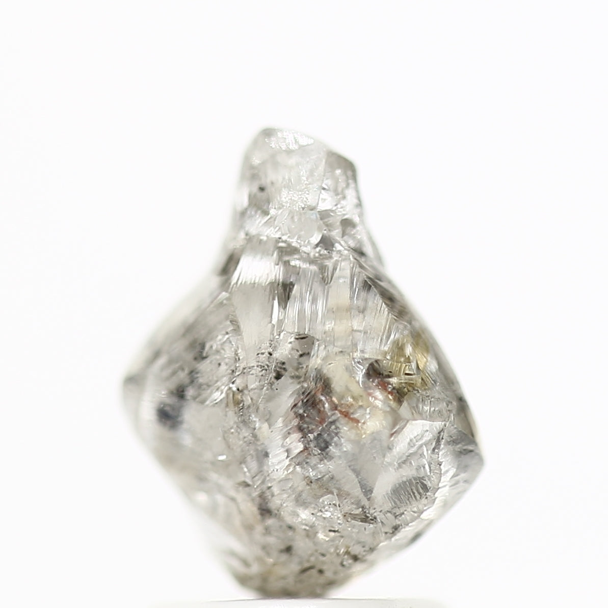 ClariOLED Transparent OLED Display price