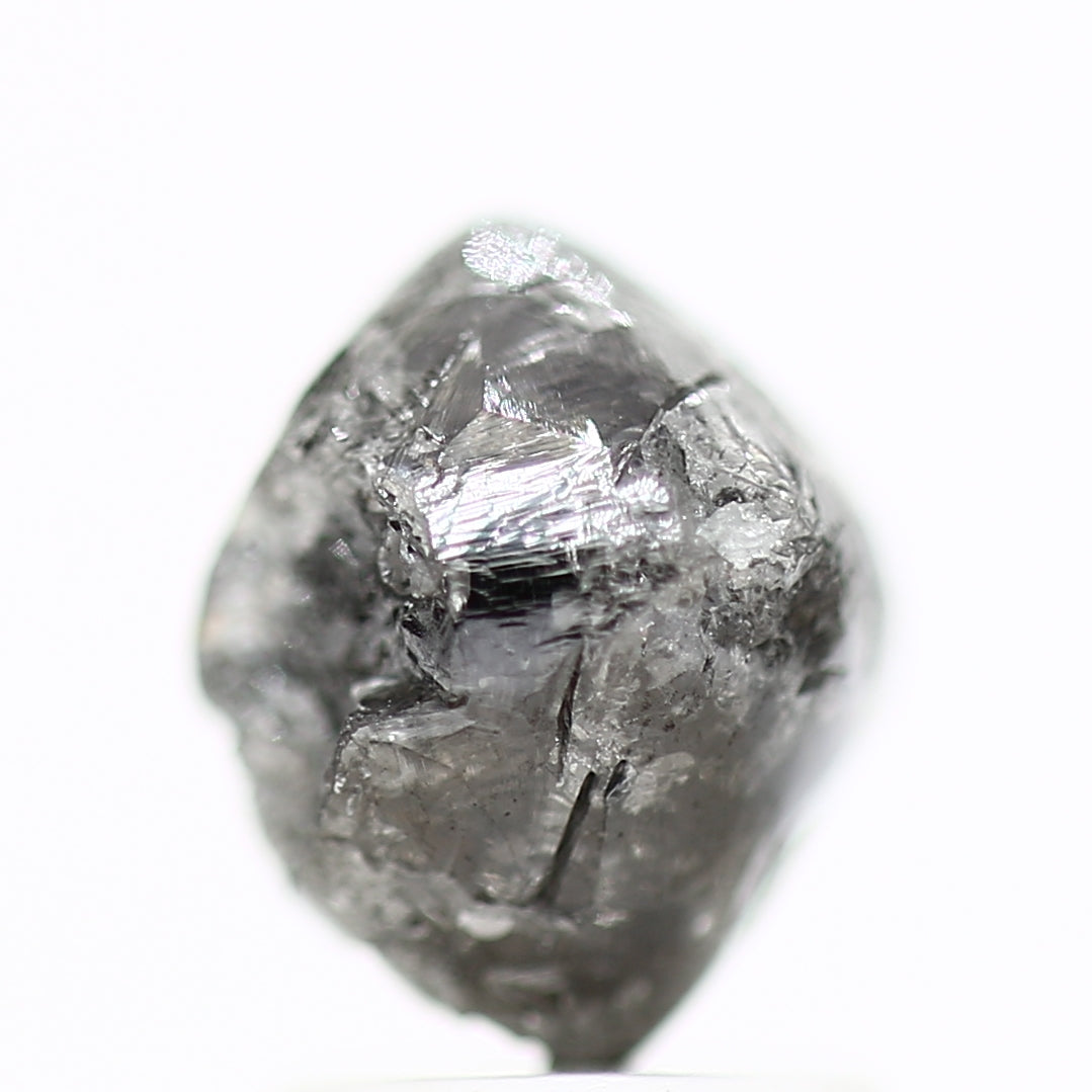 ClariOLED Transparent OLED Display price