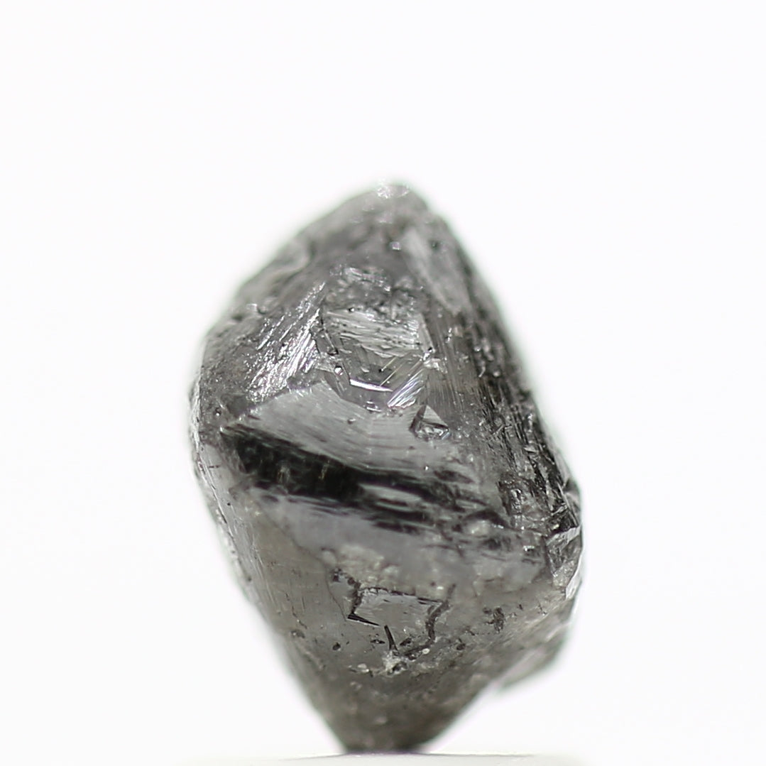 ClariOLED Transparent OLED Display price