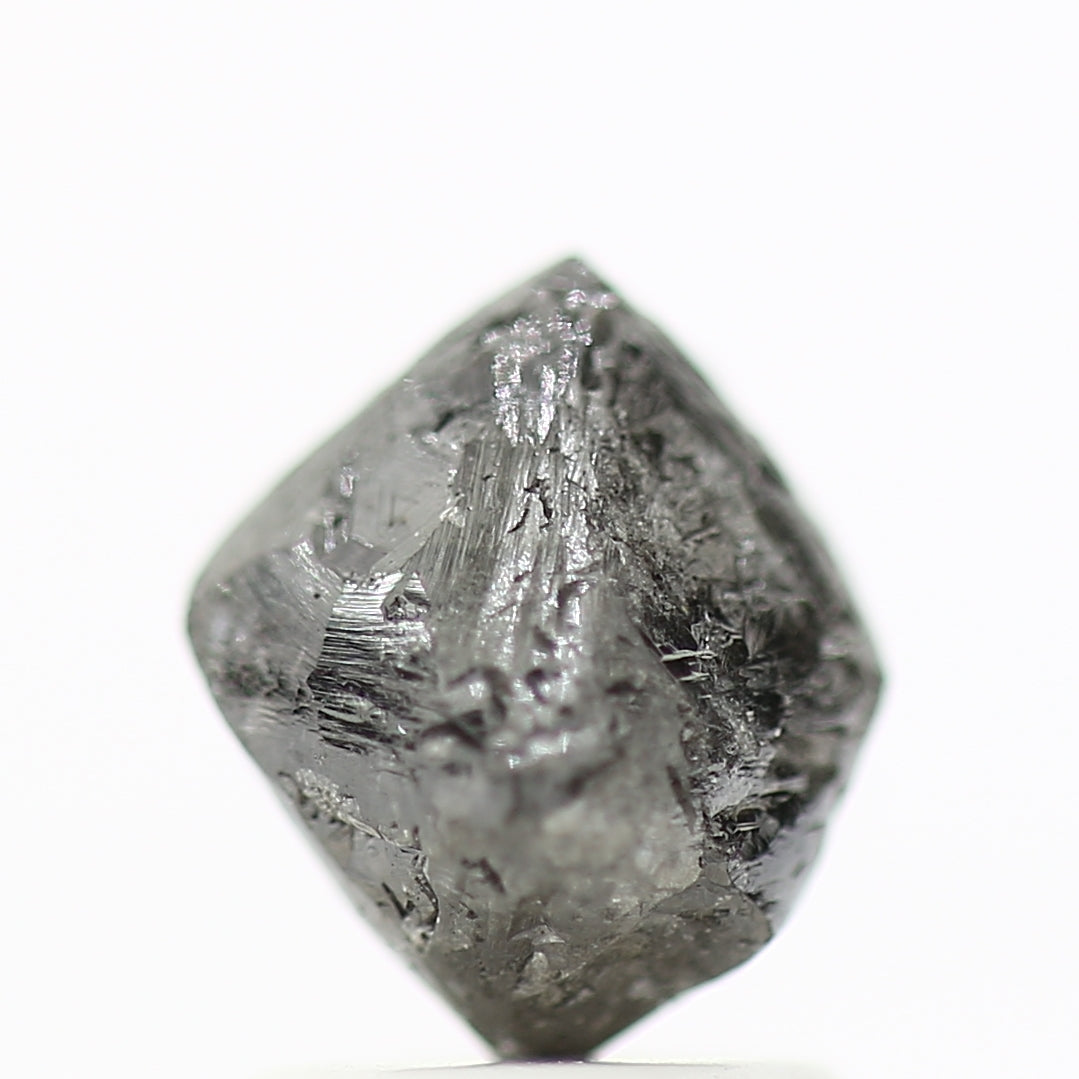 ClariOLED Transparent OLED Display price