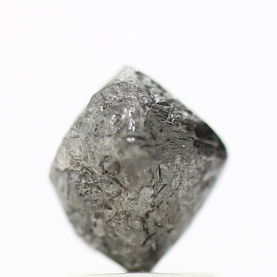 ClariOLED Transparent OLED Display price