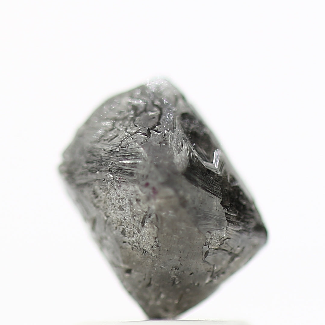 ClariOLED Transparent OLED Display price