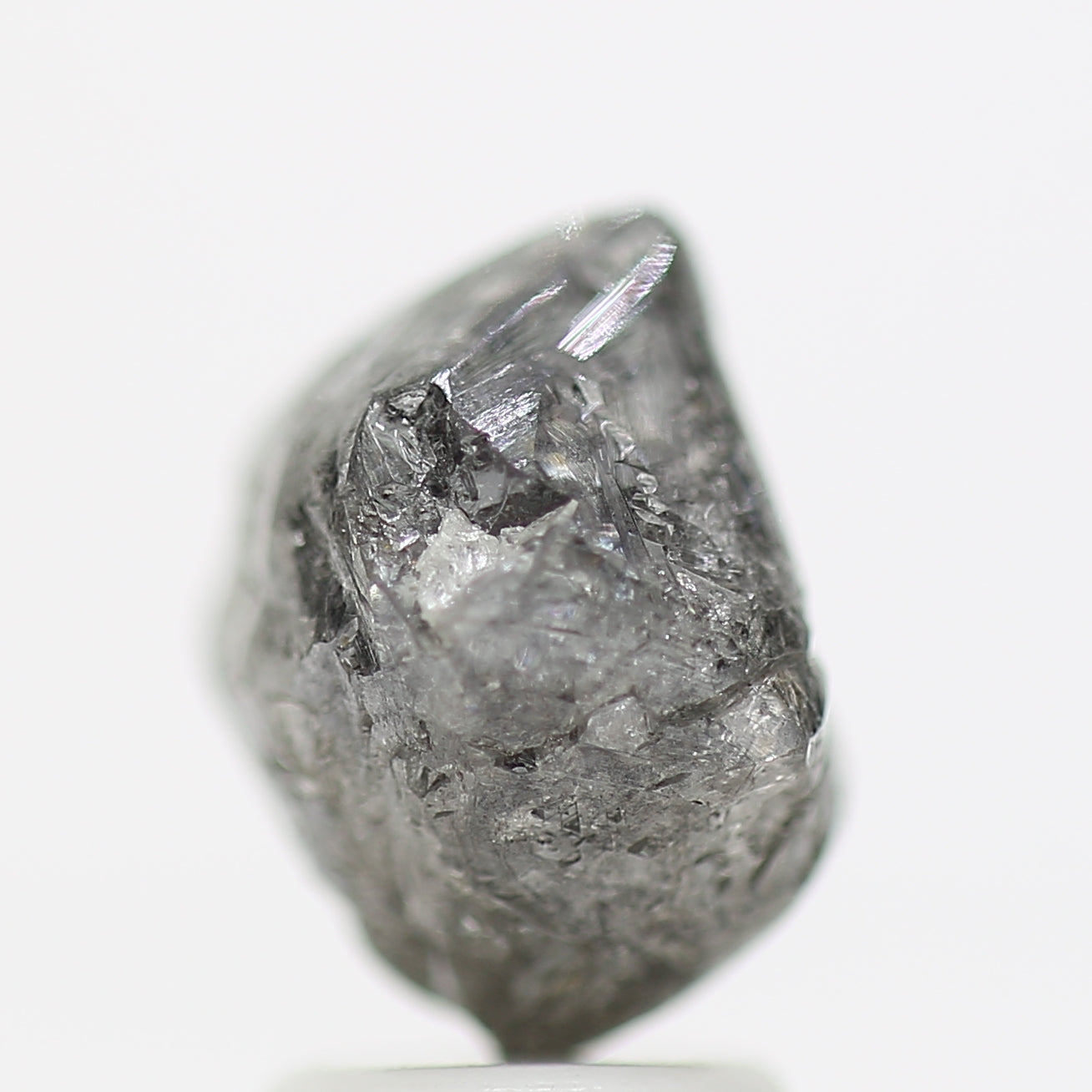 ClariOLED Transparent OLED Display price