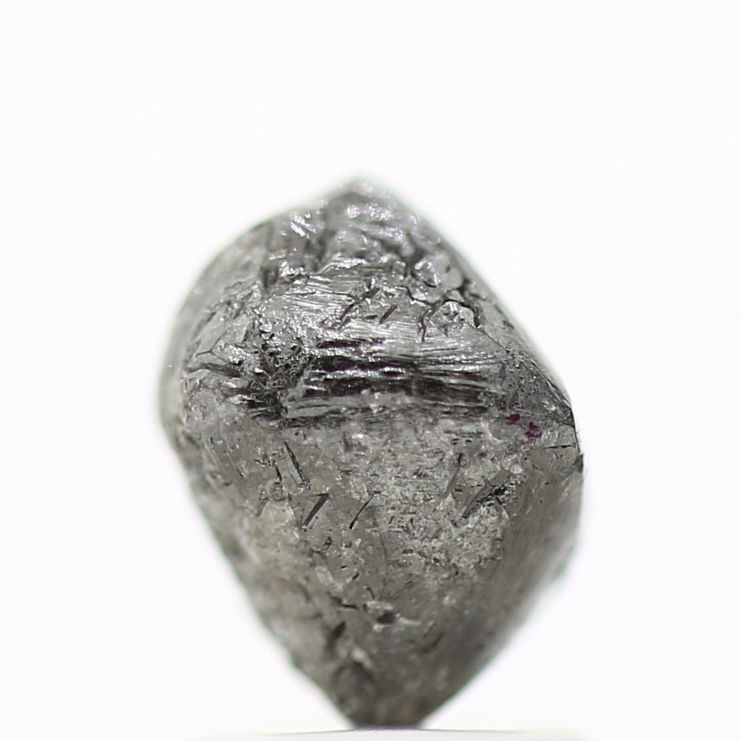 ClariOLED Transparent OLED Display price