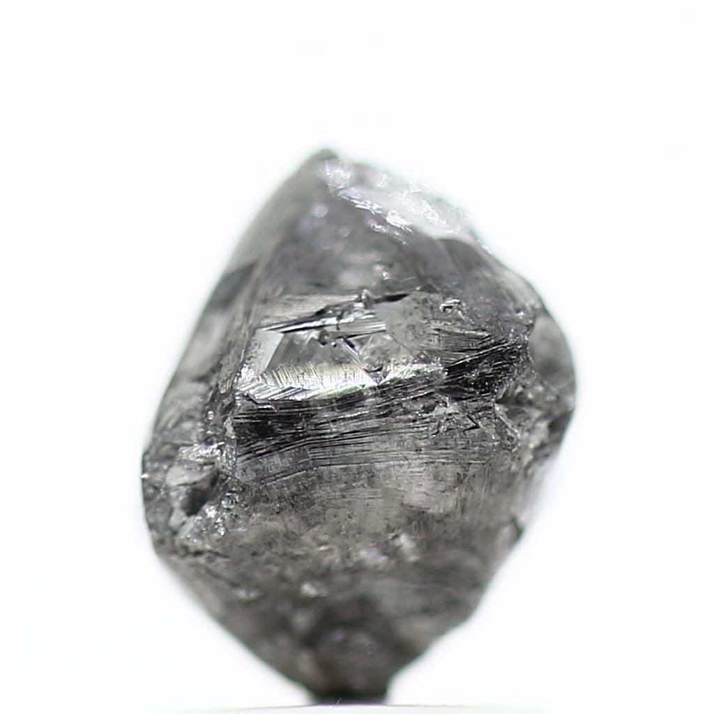 ClariOLED Transparent OLED Display price