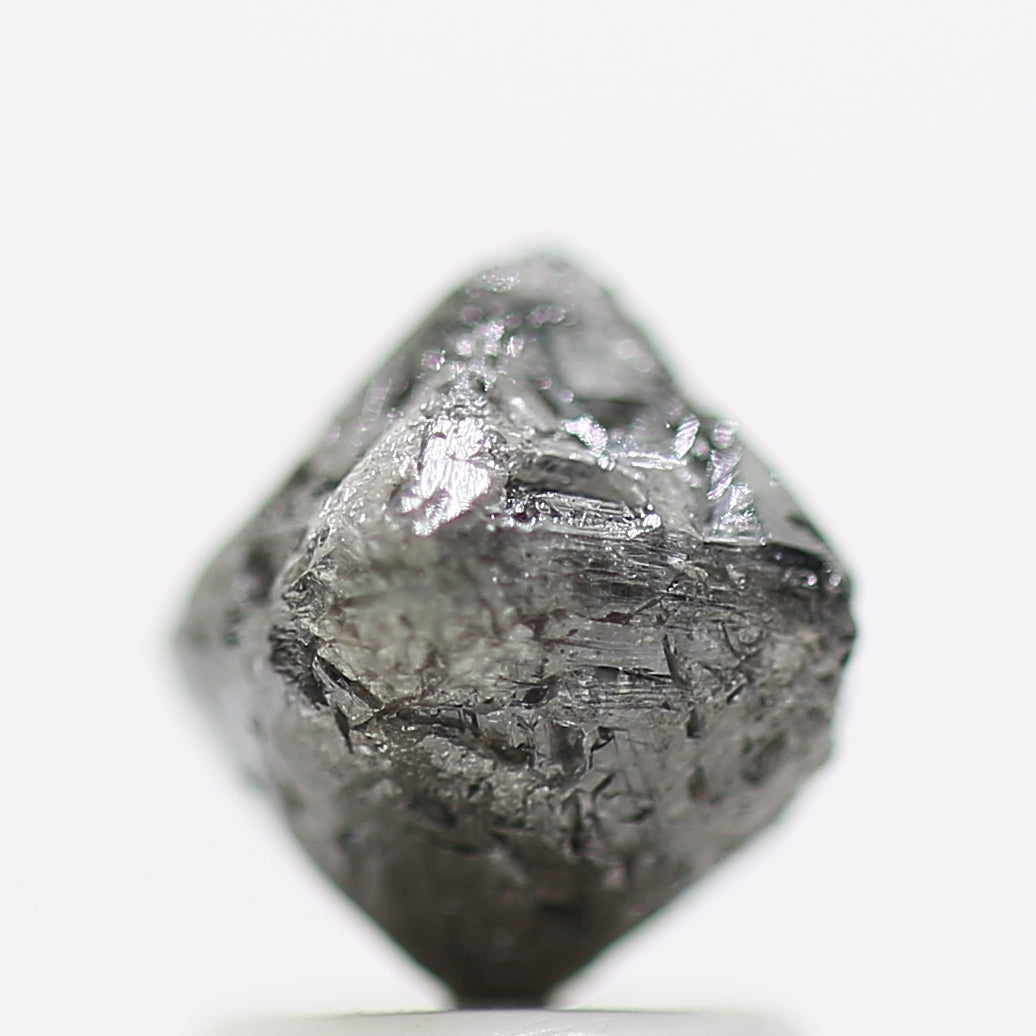 ClariOLED Transparent OLED Display price