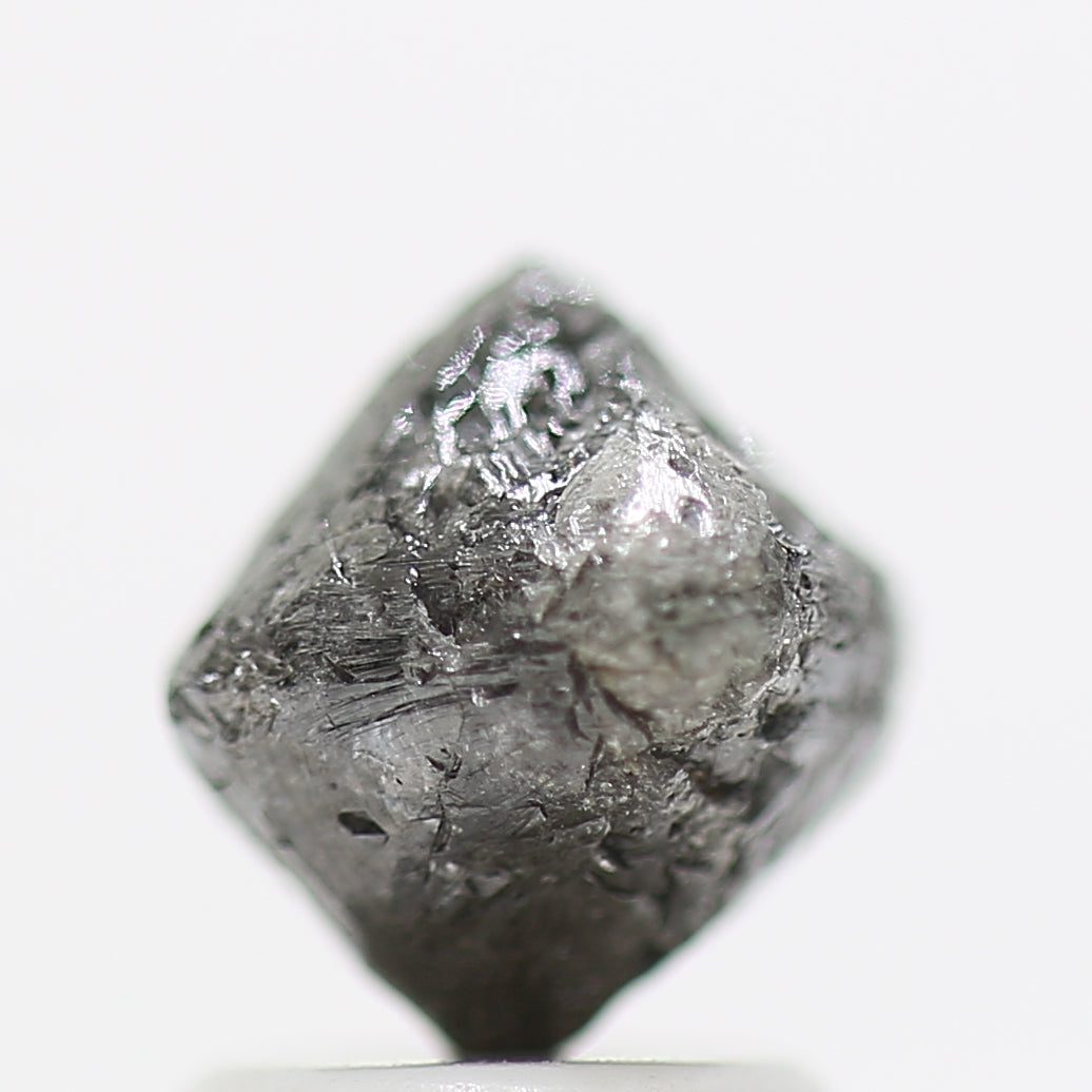 ClariOLED Transparent OLED Display price