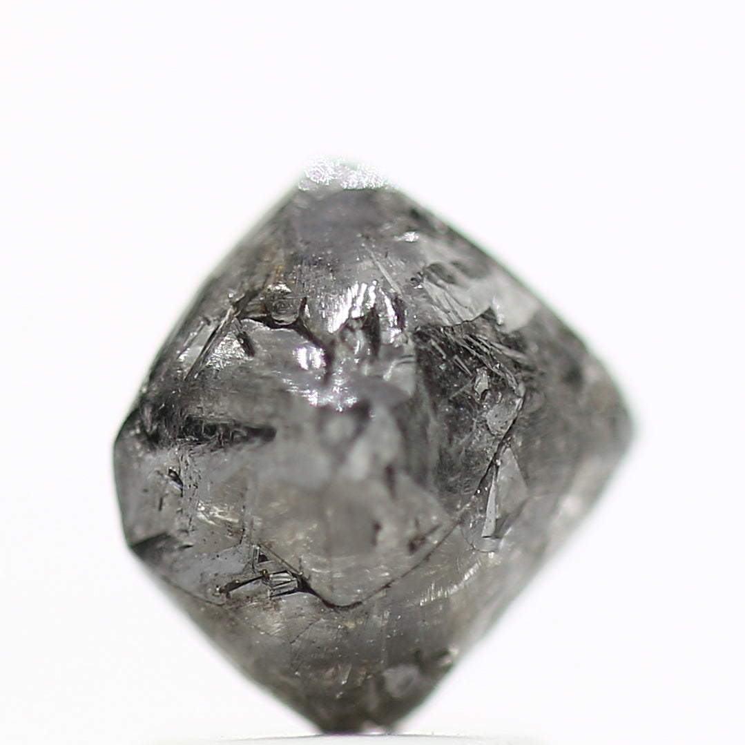 ClariOLED Transparent OLED Display price